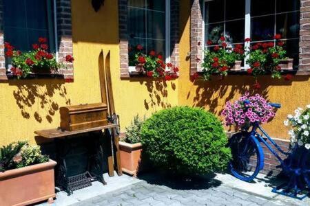 Atrium 24 Suite Sighisoara Exterior photo